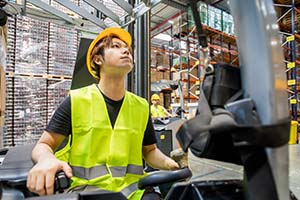 LOGISTICA
